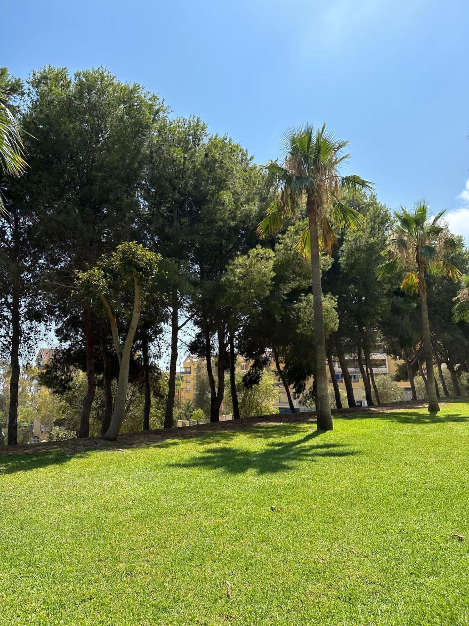 Apartamento Benalmadena Gamonal Málaga Exterior foto